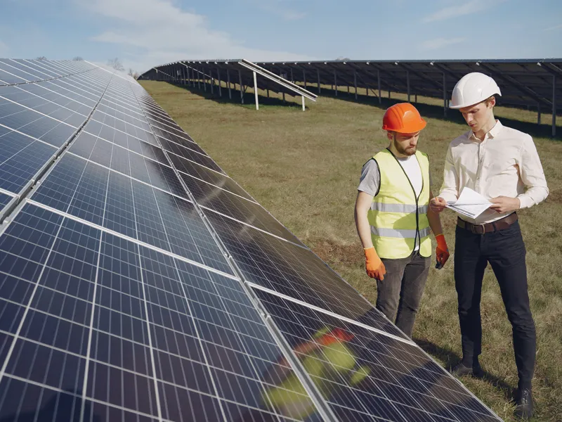 Agrivoltaic solar farm with livestock grazing