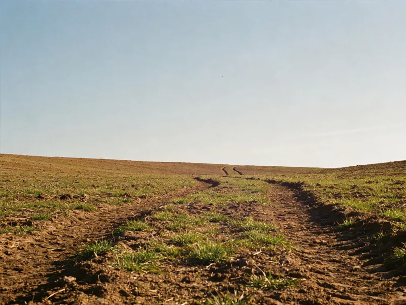 Agricultural land reinstated after solar farm decommissioning